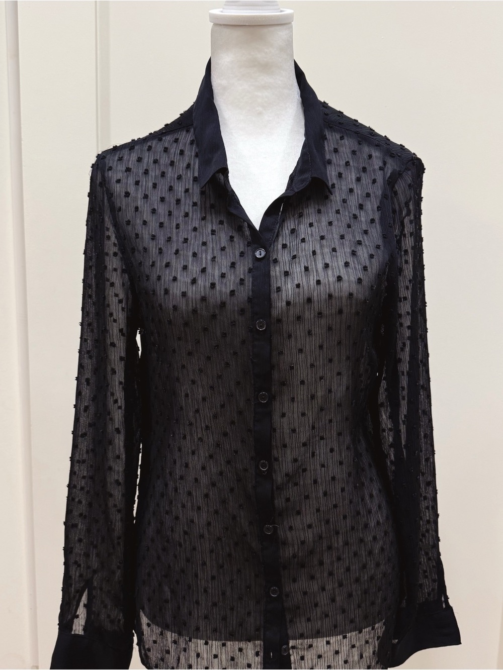 Ambiance Black Sheer Dot-Texture Button Down Shirt
